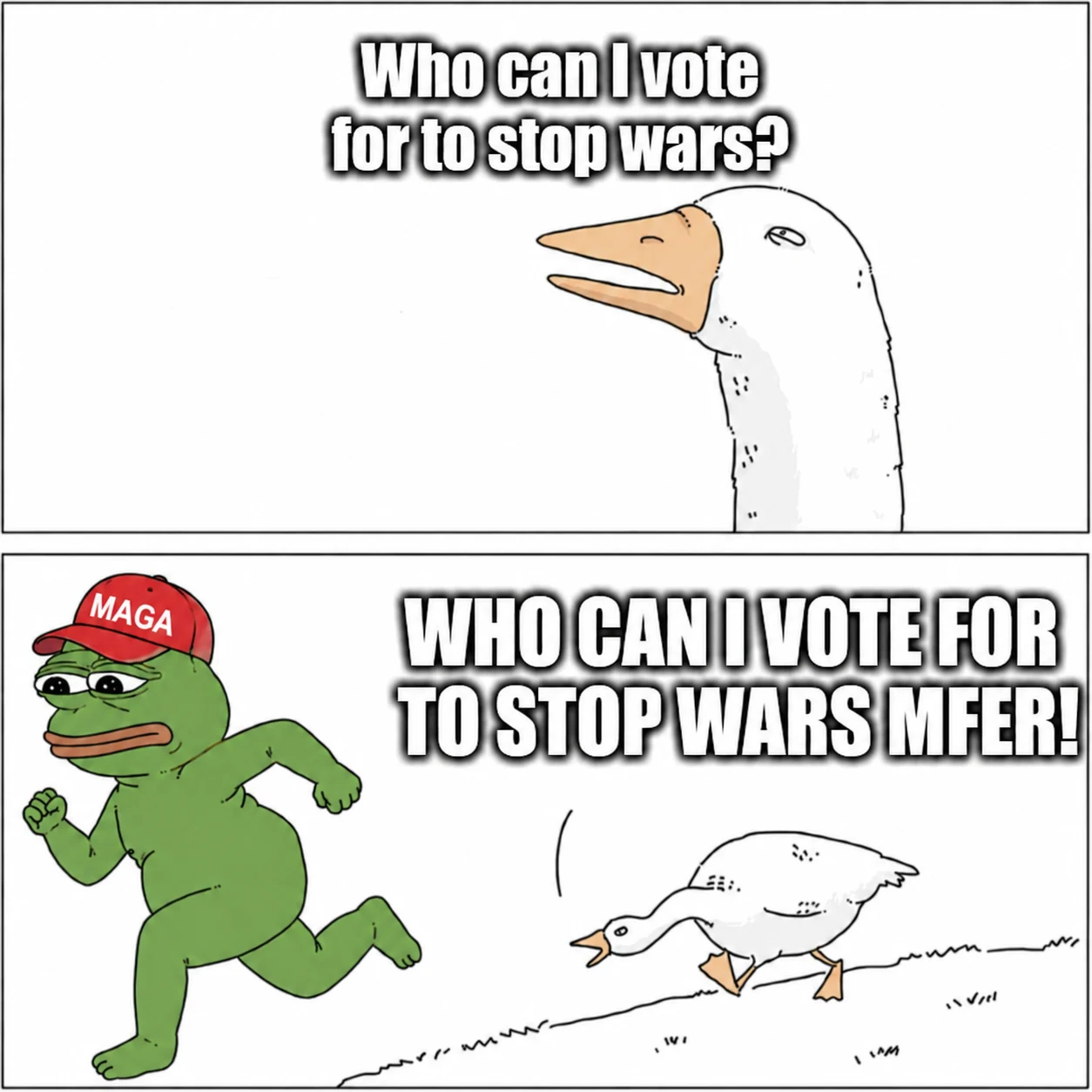A two-panel meme where a goose asks who it can vote for to stop wars, then chases a worried MAGA frog asking the same question.